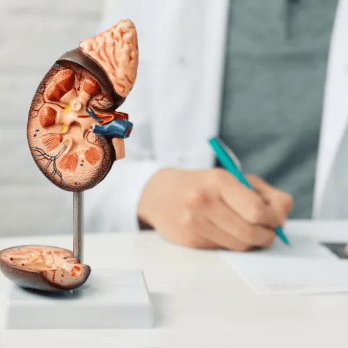 Hidrocele: Evaluación y diagnóstico experto en CDMX